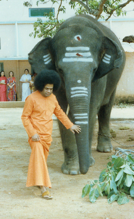 Beloved Bhagawan Sri Sathya Sai Baba